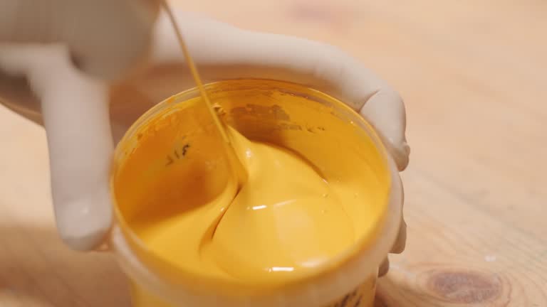 Reliable Bude, MS Mold Removal Solutions
