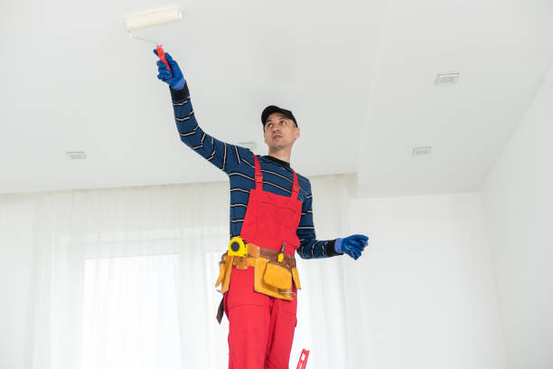 Best Mold Damage Restoration  in Bude, MS