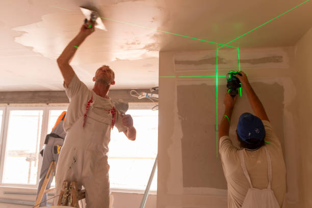 Best Asbestos and Lead Testing During Mold Inspection  in Bude, MS